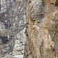 King's Canyon National Park