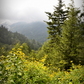 The Great Smoky Mountain National Park