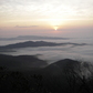 Pisgah National Forest