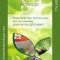Dream Tea Boutique