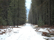 Hiking in Montana