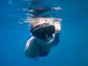 Snorkeling in the BVI