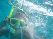 Snorkeling in the BVI
