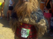 chewbacca