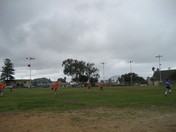 VAVI Kickball League