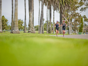 Practice triathlon