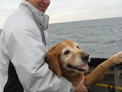 Washington Island, WI