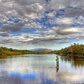 Salt River at The Phon D Sutton Recreation Site
