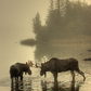 Isle Royale National Park